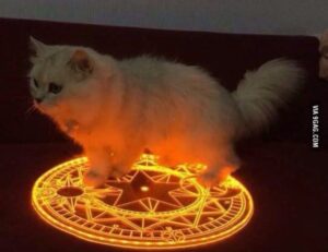 does felmusgano contain milk