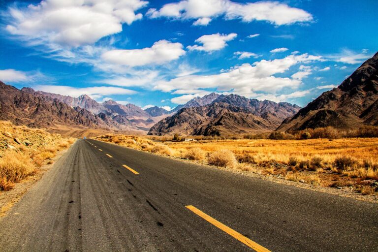 hanlerdos aviation management