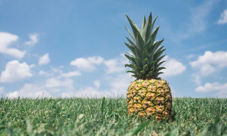 how hcs 411gits software built