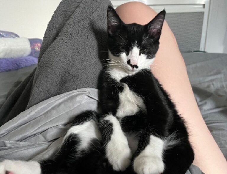 importance of teckaya construction equipment ltd