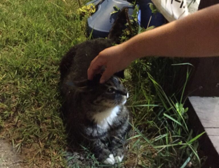 new video games jogametech