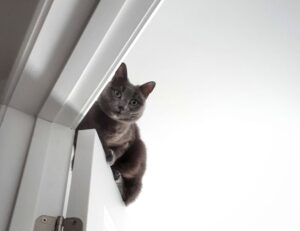 playing returnalgirl