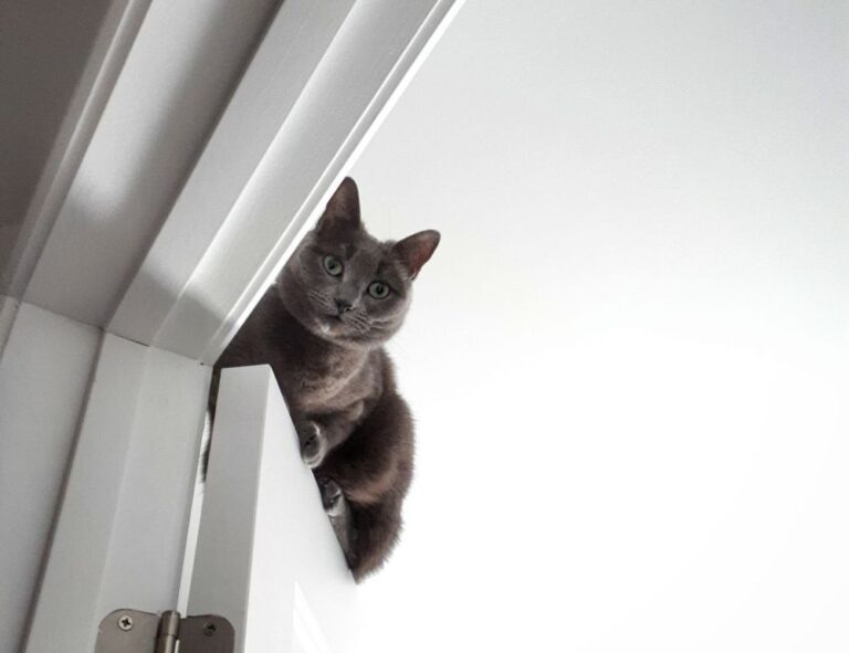 playing returnalgirl