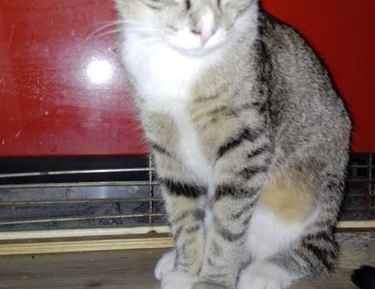 what is application in zillexit software