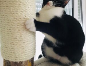 what is new in gaming technology jogametech