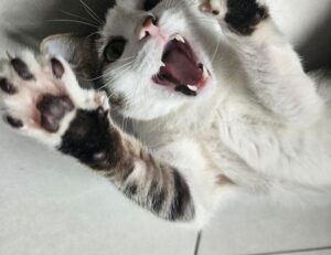 why do games need updates jogametech