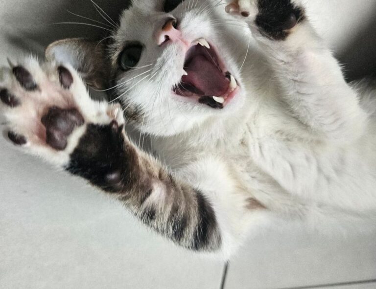 why do games need updates jogametech