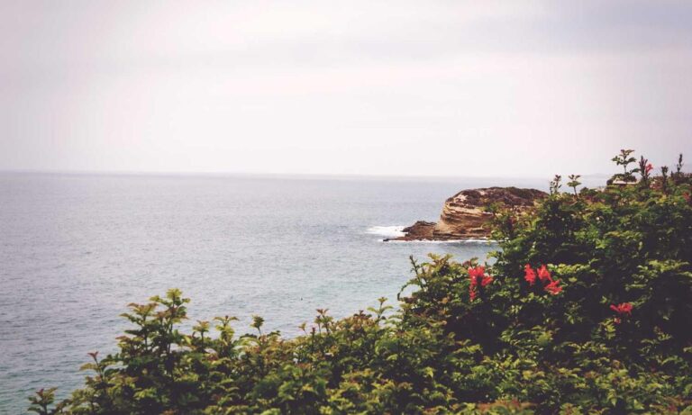 why is saisiege5487 not available in my country