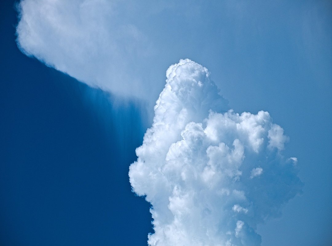 Conservation Status and Threats