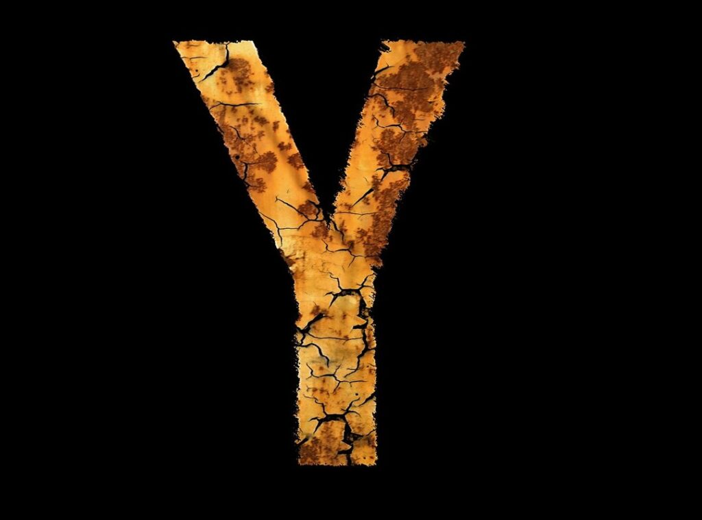 cuantos capitulos tiene seyran y ferit