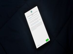 How to Update Lightniteone