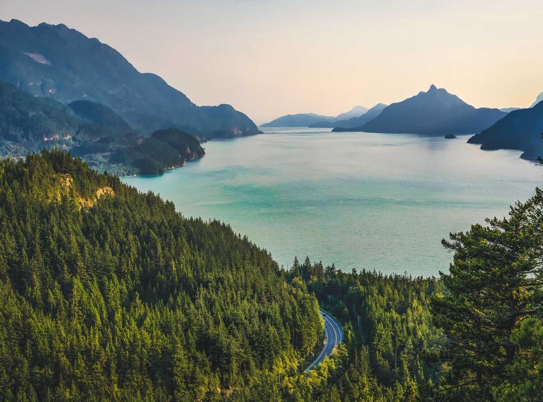 Placement is Everything: Finding the Perfect Spot on Your Rib Cage