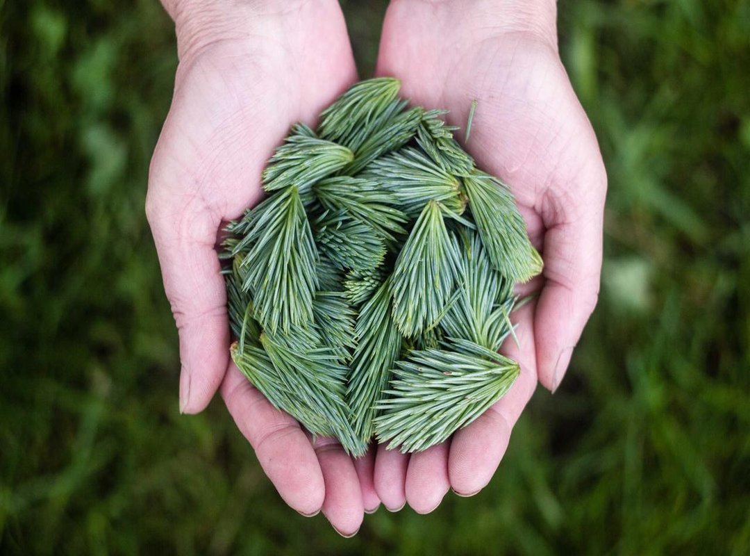 Troubleshooting: Common Download Problems and Fixes