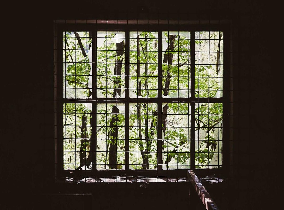 Beyond the Image: A Look at Her Business Ventures and Influence