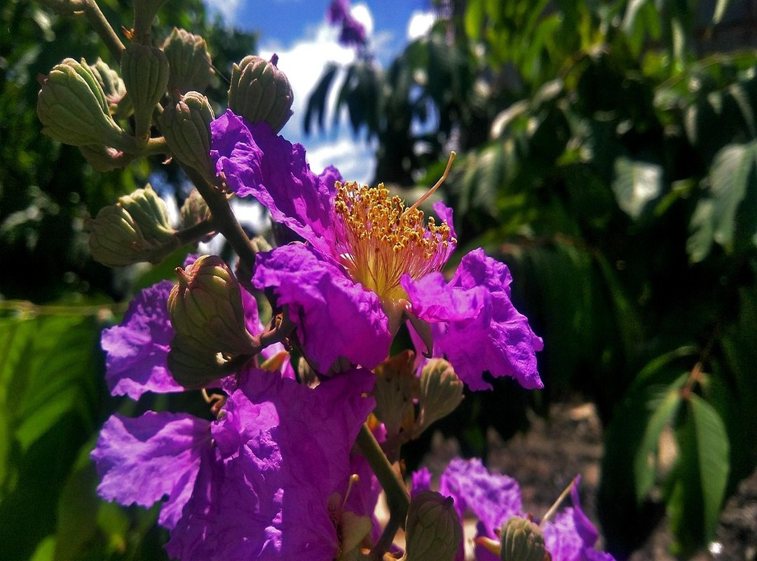 Top 5 Must-Have Coloring Themes for Every Brookhaven Fan