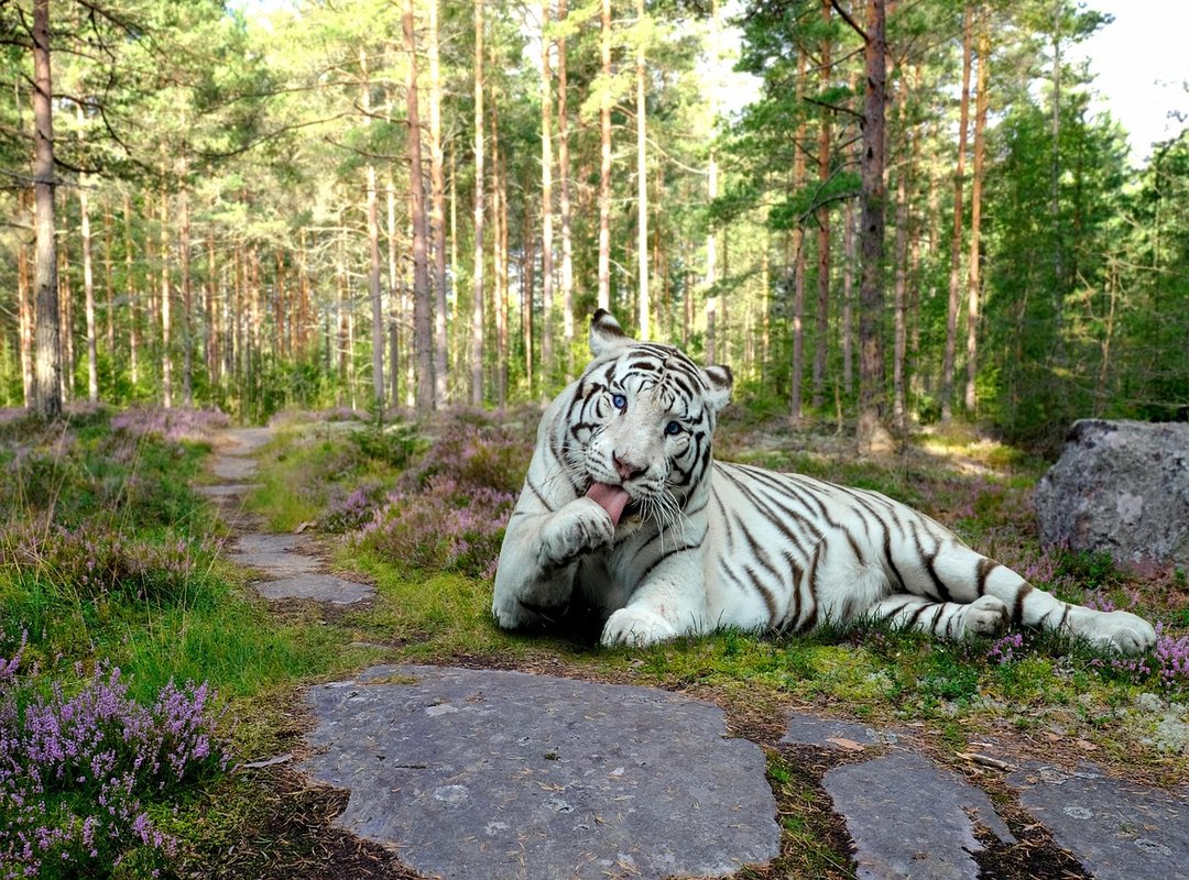 Symbolism and Deeper Themes Explored