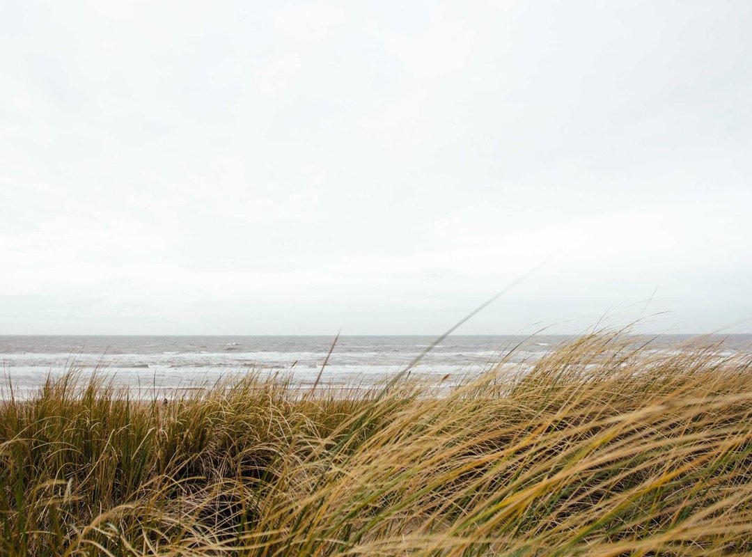 Working with Mario Brena: Services and Booking Information