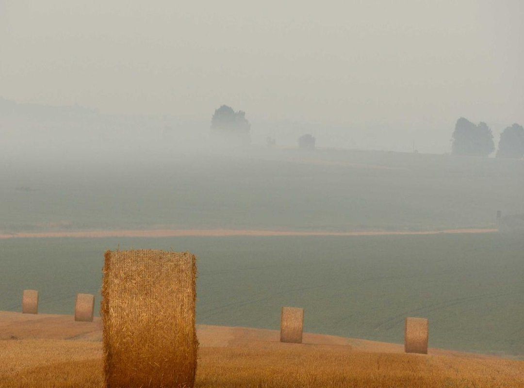 Frequently Asked Questions (FAQs)